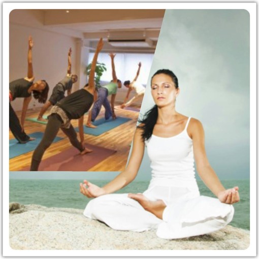 1380332_749846741708554_1366184633_n