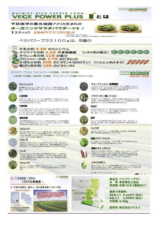 アサイーフライヤー Sheet1 のコピー