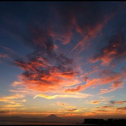 297371_412273538835774_1121594406_n