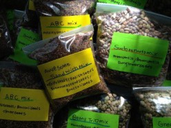 923343_605283712834444_440129254_n