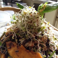 935616_601563273206488_2031813340_n